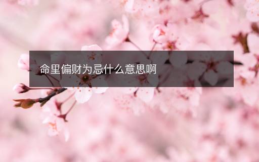 命里偏財為忌什么意思啊
