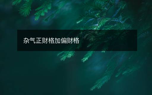 雜氣正財格加偏財格