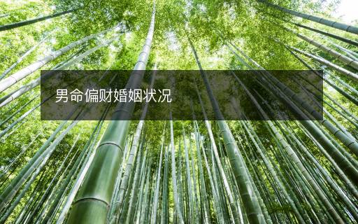 男命偏財(cái)婚姻狀況