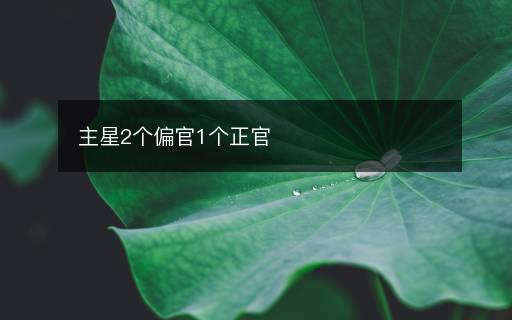 主星2個偏官1個正官