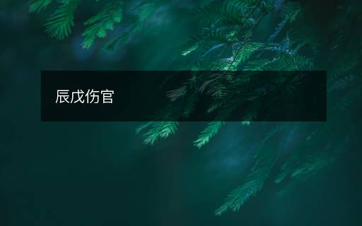 辰戊傷官