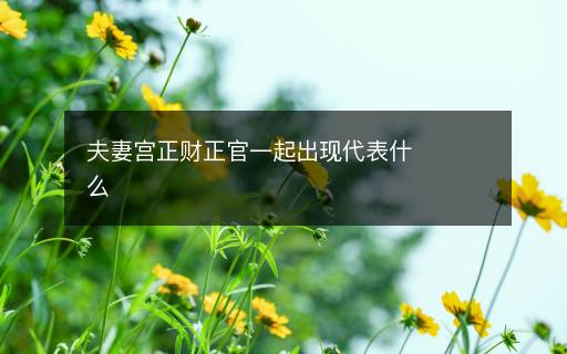 夫妻宮正財(cái)正官一起出現(xiàn)代表什么
