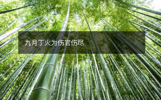 九月丁火為傷官傷盡