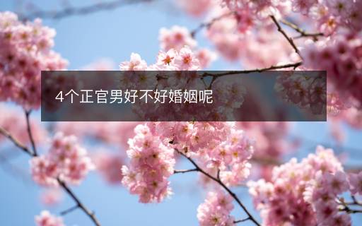 4個(gè)正官男好不好婚姻呢