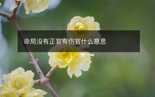 命局沒有正官有傷官什么意思