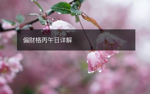 偏財格丙午日詳解
