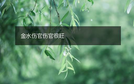 金水傷官傷官很旺