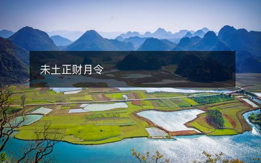 未土正財(cái)月令