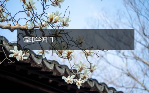 偏印學(xué)偏門