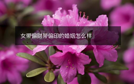 女帶偏財(cái)帶偏印的婚姻怎么樣