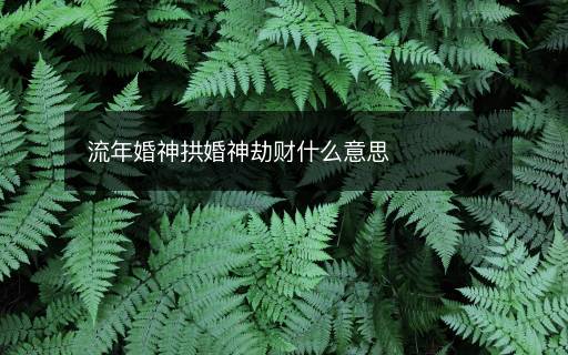 流年婚神拱婚神劫財(cái)什么意思