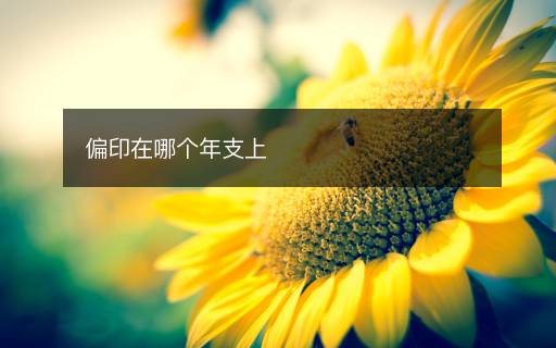 偏印在哪個年支上