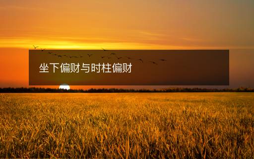 坐下偏財(cái)與時(shí)柱偏財(cái)