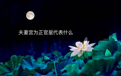 夫妻宮為正官星代表什么