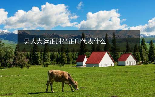 男人大運正財坐正印代表什么