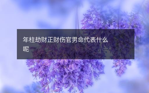 年柱劫財正財傷官男命代表什么呢