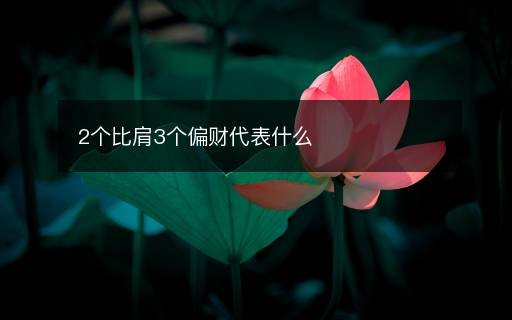 2個(gè)比肩3個(gè)偏財(cái)代表什么