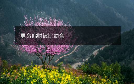男命偏財(cái)被比劫合