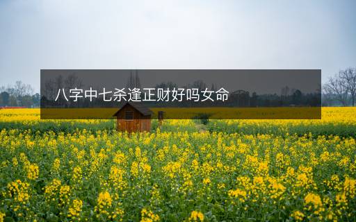 八字中七殺逢正財(cái)好嗎女命