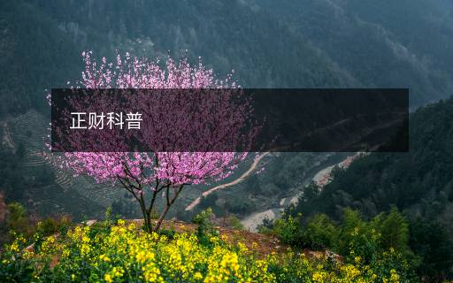 正財(cái)科普