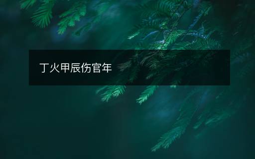 丁火甲辰傷官年