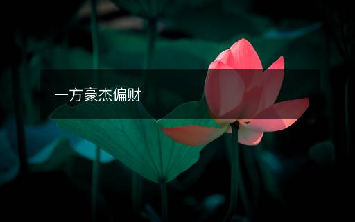一方豪杰偏財(cái)