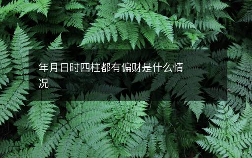 年月日時四柱都有偏財是什么情況