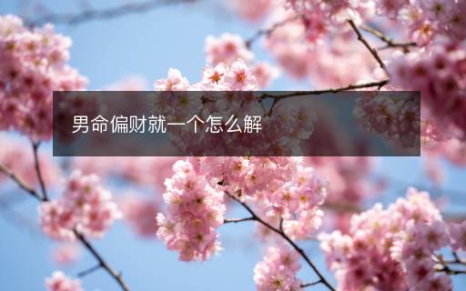 男命偏財就一個怎么解