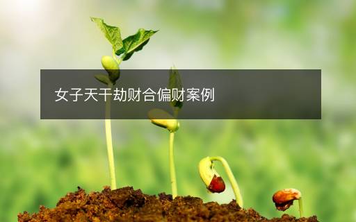 女子天干劫財(cái)合偏財(cái)案例