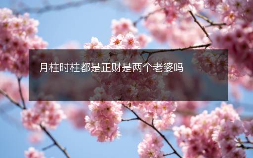 月柱時柱都是正財是兩個老婆嗎