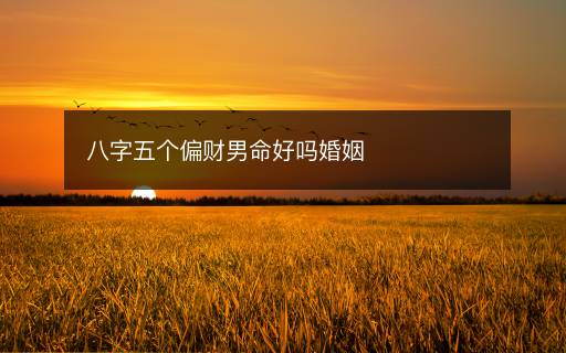 八字五個(gè)偏財(cái)男命好嗎婚姻