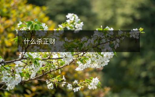 什么殺正財(cái)