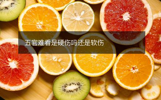 五官難看是硬傷嗎還是軟傷