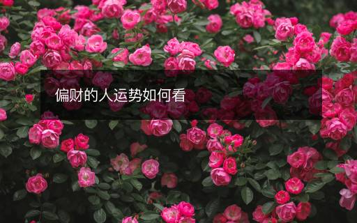 偏財?shù)娜诉\勢如何看