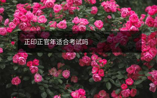 正印正官年適合考試嗎