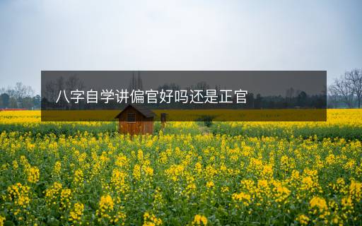 八字自學(xué)講偏官好嗎還是正官