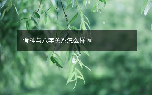 食神與八字關(guān)系怎么樣啊