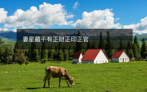 妻星藏干有正財(cái)正印正官