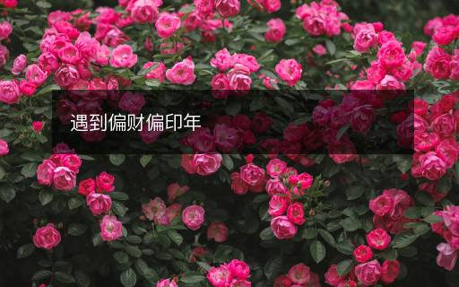 遇到偏財偏印年