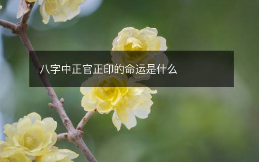 八字中正官正印的命運(yùn)是什么