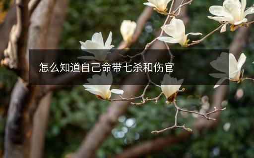 怎么知道自己命帶七殺和傷官