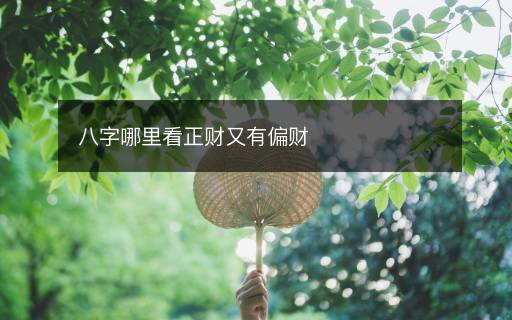八字哪里看正財(cái)又有偏財(cái)