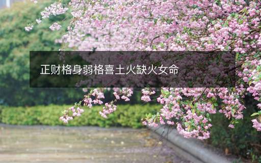 正財(cái)格身弱格喜土火缺火女命
