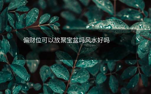 偏財位可以放聚寶盆嗎風(fēng)水好嗎