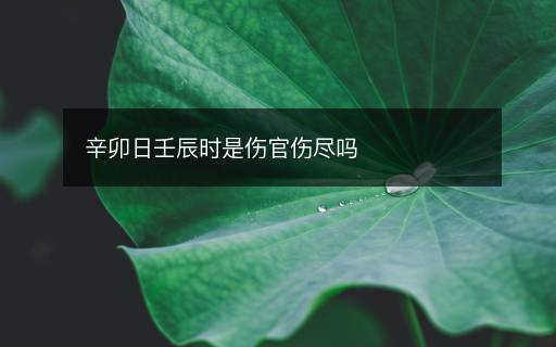辛卯日壬辰時(shí)是傷官傷盡嗎