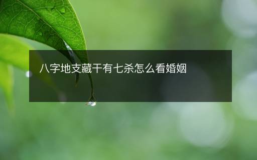 八字地支藏干有七殺怎么看婚姻