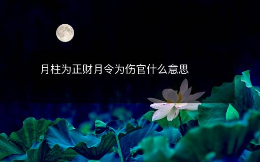 月柱為正財(cái)月令為傷官什么意思