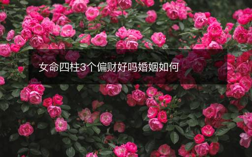 女命四柱3個(gè)偏財(cái)好嗎婚姻如何