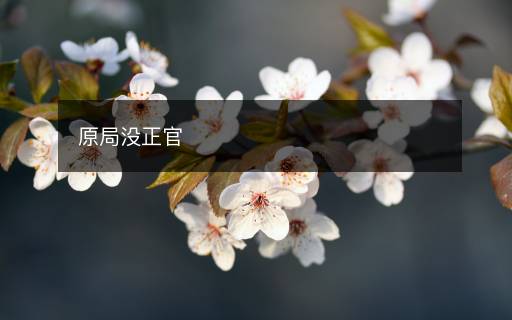 原局沒正官