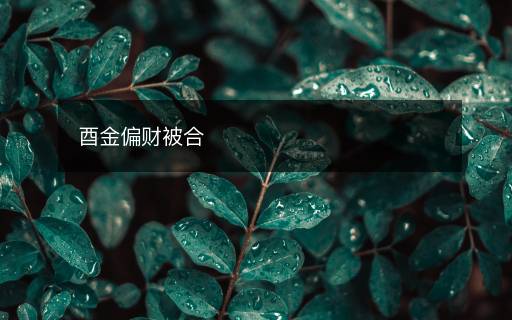 酉金偏財(cái)被合